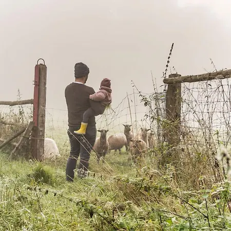 Gut Gross Zecher - Ferienzimmer فندق