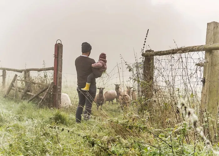 Gut Gross Zecher - Ferienzimmer Hotel
